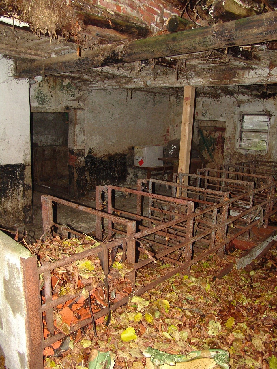 house, cancellation, renovation, old building, pigsty, pigsty, pigsty, pigsty, pigsty, pigsty